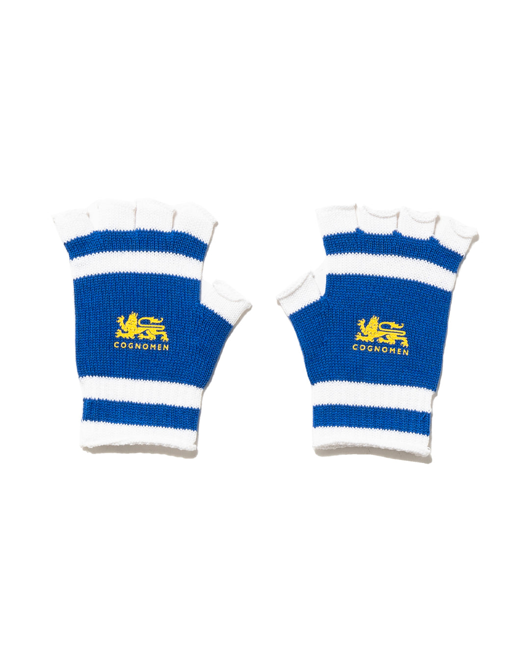 GOALKEEPER GLOVES (BLU)