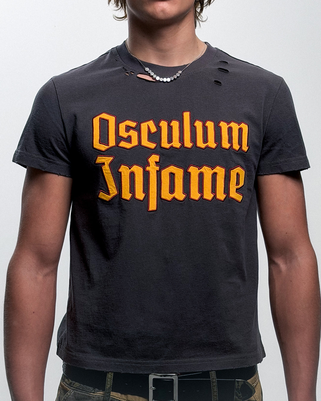 6669 SHRUNK TS ASH GREY