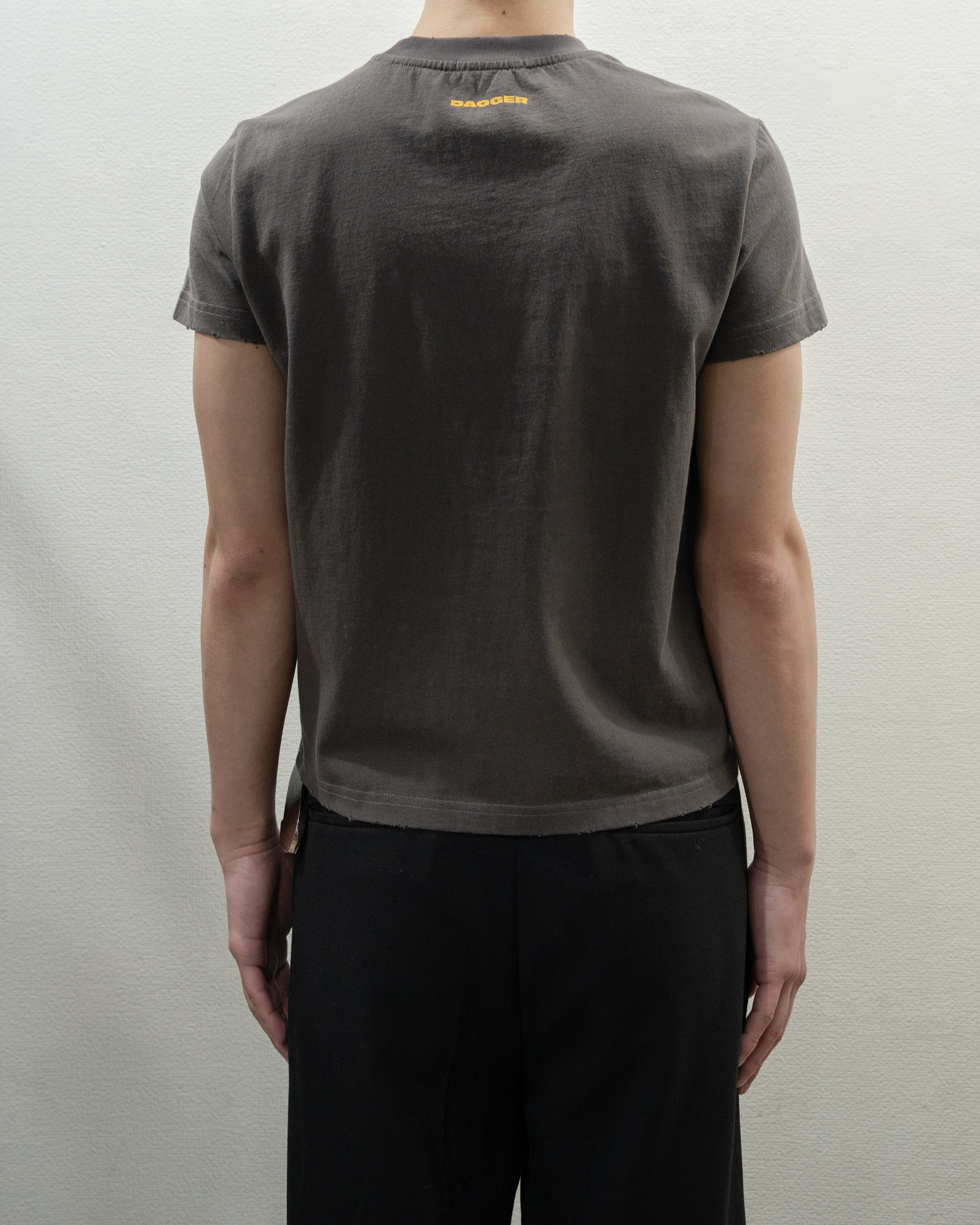 6669 SHRUNK TS ASH GREY