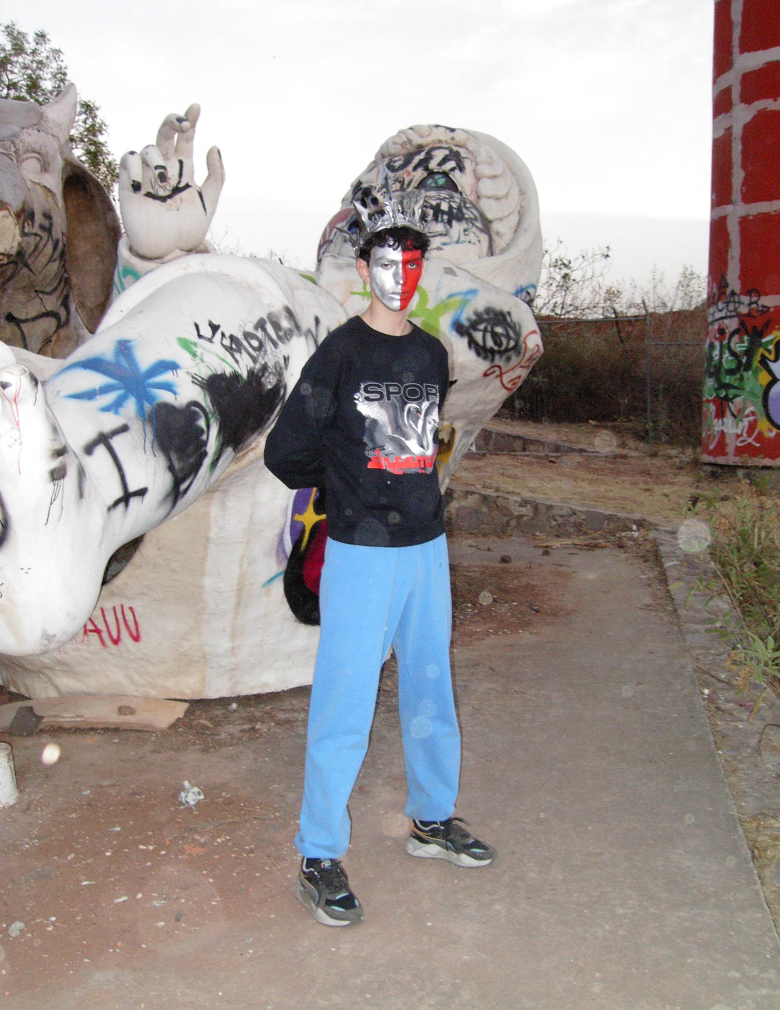 SWANS T-SHIRT KNIT (WHT)