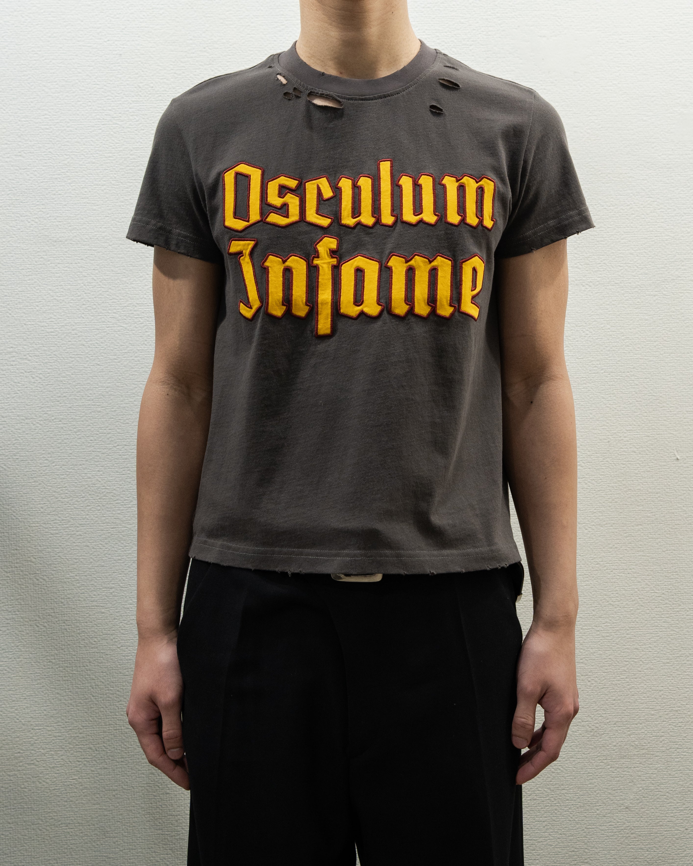 6669 SHRUNK TS ASH GREY